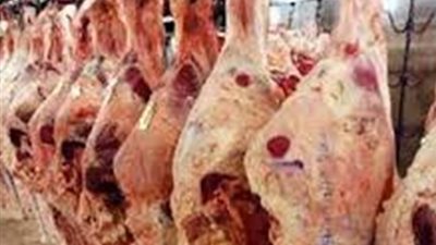 ضبط كمية من اللحوم الفاسدة في حملة تموينية بأسوان