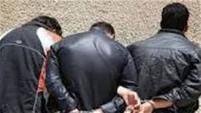 بالأسماء..ضبط 3 تجار مخدرات في حملة بالشعراء في دمياط