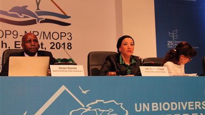 وزيرة البيئة تفتتح اجتماعات الشق الإفريقي بمؤتمر التنوع البيولوجي