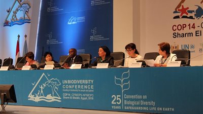 وزراء البيئة الأفارقة: 77% من أراضي كوكب الأرض تغيرت بسبب البشر 