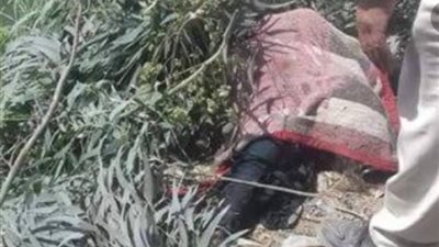 تفاصيل «هتك» عرض طفلة داخل حديقة البرتقال بالقليوبية