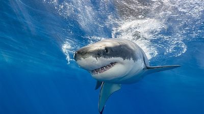 بحث جديد يكشف تأثير التغير المناخي على 