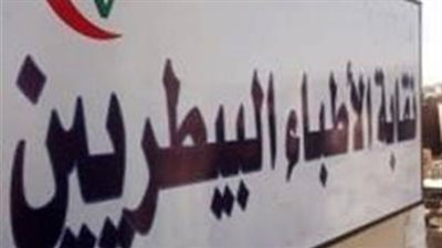 «البيطريين» تدرس تقديم مشروع «الطب البيطري» للبرلمان من خلال النواب