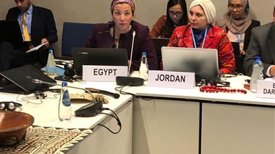 وزيرة البيئة من بولندا:على الدول المُتقدمة الوفاء بتعهداتها 