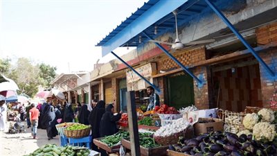 «برلماني» يحذر من ارتفاع أسعار البطاطس لـ20 جنيهًا.. اعرف التفاصيل 