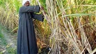 تفاصيل لقاء نقيب الزراعيين بأهالي دار السلام بسوهاج