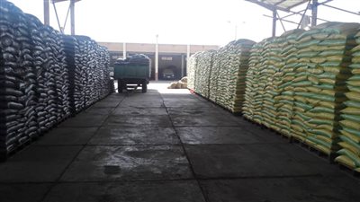 خبر هام جدًا بشأن التقاوي والبذور