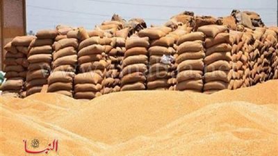 حقيقة استيراد الحكومة قمح مُسرطن