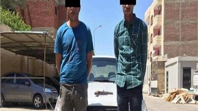 ضبط عصابة لترويج المخدرات بحلوان والمعصرة.. تعرف على التفاصيل 