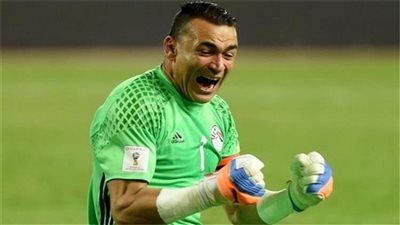 «الفيفا» يحتفل بعيد ميلاد السد العالي