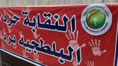 مستندات تكشف مفاجأة جديدة في قضية نقابة الصيادلة.. اعرف التفاصيل 