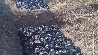 بالصور.. حملات نظافة وتجميل شوارع ورفع إشغالات بحى غرب سوهاج