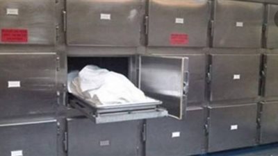 سيارة تابعة لمجلس المدينة وراء مصرع طالب بطريقة بشعة في القليوبية 