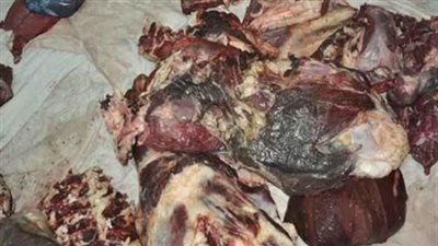 «خلال يوم واحد» حملة تموينية بالجيزة تضبط 4،5 طن لحوم فاسدة.. اعرف التفاصيل