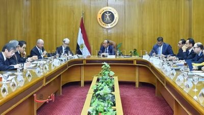وزير التجارة: اليابان تدرس إنشاء منطقة صناعية يابانية بـ«اقتصادية قناة السويس»