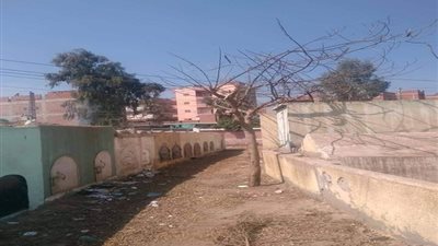 كارثة في المنصورة.. موظف الوحدة المحلية بـ