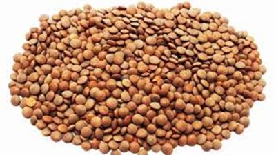 8 فوائد صحية مذهلة لـ«العدس الأسود».. تعرف عليها