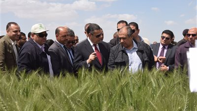 بالصور.. وزير الزراعة يتفقد مشروع محطة بحوث القمح في بني سويف