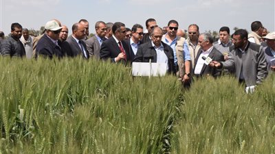 «مشاجرة بالأيدي» بين حرس وزير الزراعة وحرس محافظ بني سويف