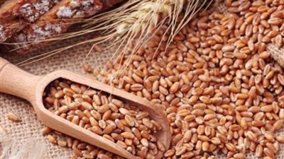 توريد كميات كبيرة من القمح لشون وصوامع سوهاج..اعرف التفاصيل