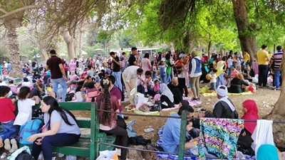 «رجائي»: 120 ألف مواطن قضوا إجازة شم النسيم في حديقة الحيوان