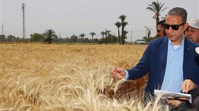 محافظ سوهاج: توريد 102 ألف طن قمح لصوامع وشون المحافظة