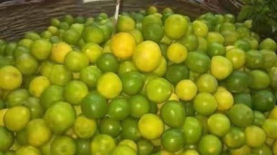 غضب بين أهالي الفيوم بسبب «الليمون».. اعرف التفاصيل