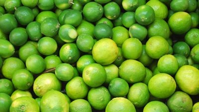 بالفيديو.. نقيب الفلاحين يكشف موعد انخفاض أسعار الليمون