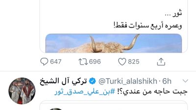 بالصور.. تركي آل الشيخ يقصف جبهة 