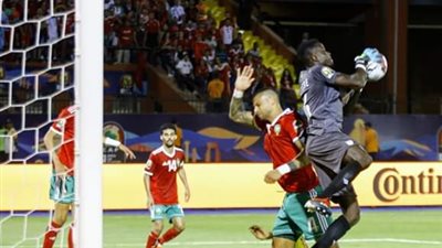 اول تعليق لهيرفى رينارد بعد السقوط الافريقى للاسود 