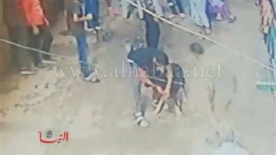 ننشر فيديو لـ«شاب» يطلق كلبًا مفترسًا على الأهالى فى حدائق المعادي