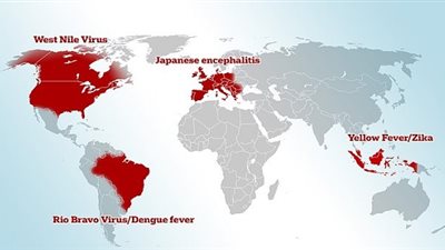 من بينها مصر.. العلماء يرصدون أماكن إيواء الفيروسات القاتلة
