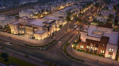 على 115 فدانًا.. 