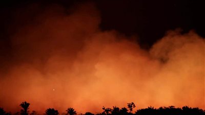 كيف استفادت شركة أمازون العالمية من حرائق غابات أمازون الأخيرة؟! فكرة جهنمية!!