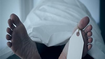 مقتل مدرس على يد سيدة بالسنبلاوين