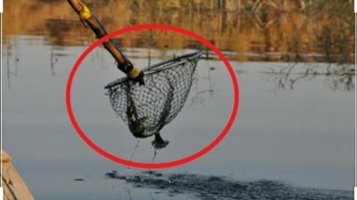 وفاة طالب صعقًا بالكهرباء أثناء صيده الأسماك من 