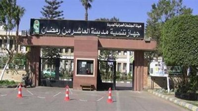 تفاصيل تطوير ميدانى الكفراوى والرواد بمدينة العاشر من رمضان