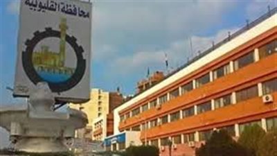 كارثة انتشار الحشرات تهدد أهالى القرى بالقليوبية.. وهذا رد 