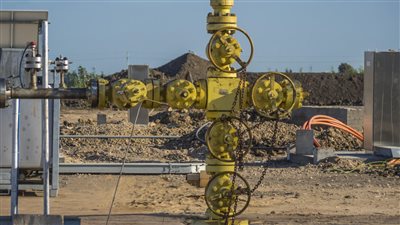 «إيجاس»: مصر صدرت 172 مليار قدم مكعب من الغاز