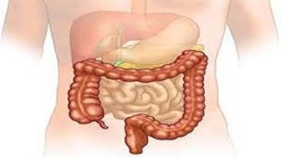 بالفيديو.. طُرق طببيعية لـ«تنظيف القولون» في المنزل
