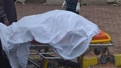 وفاة عاطل بطريقة بشعة وإصابة آخر أثناء سرقة شركة في المعادي