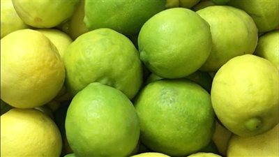 بالفيديو.. طرق متنوعة لتخزين الليمون الأخضر طوال العام 