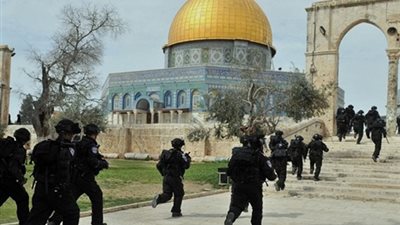 أخبار فلسطين.. 52 مستوطنا يقتحمون باحات المسجد الأقصى 