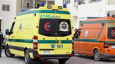 صورة| إصابة سائق «تروسيكل» إثر سقوطه في ترعة المريوطية 