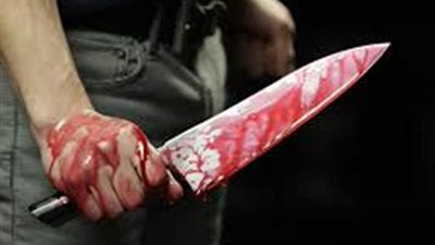 أمن القاهرة يكشف لغز مقتل «كاميروني» ذبحًا في حدائق المعادي 