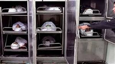 «المفتي» يُحدد مصير المتهم بقتل وإصابة 9 من «أهل زوجته» في المعادي