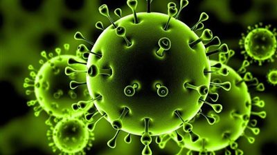  فلسطين.. ارتفاع عدد إصابات كورونا إلى 59 حالة