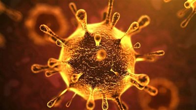 بعد إصابة ممرضة بكورونا.. جامعة المنصورة تفحص 40 من الطواقم الطبية