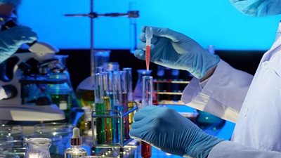 تفاصيل تأسيس 