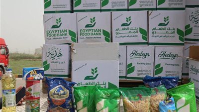 محافظ سوهاج: توزيع 26 ألف كرتونة تموينية على 178 جمعية أهلية